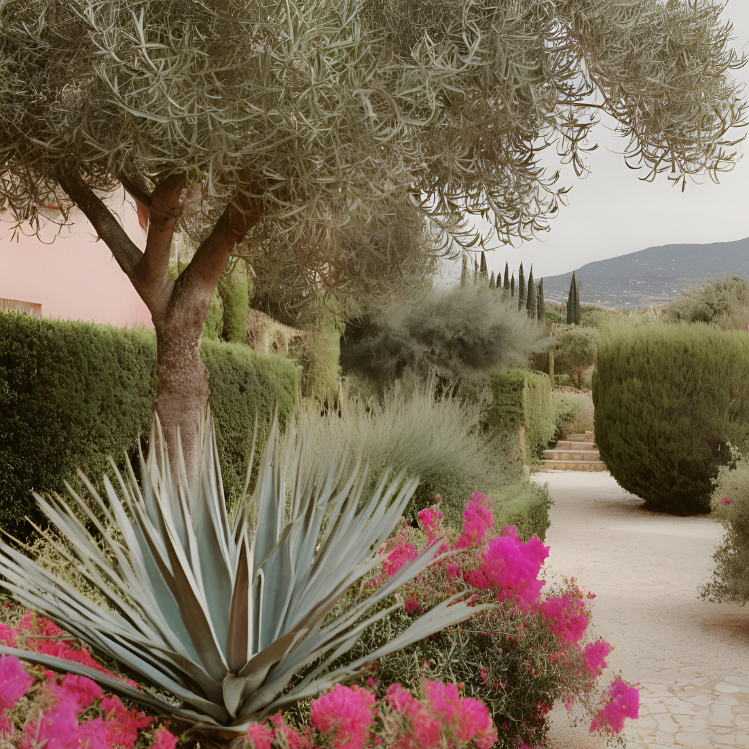 Adapter votre jardin au climat méditerranéen ☀
