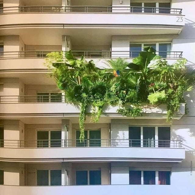 Plantes et Architecture Moderne