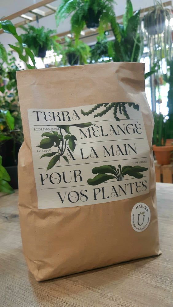 NATURA Béziers Lance Le Premier Terreau Artisanal Biterrois pour Plantes d'Intérieur