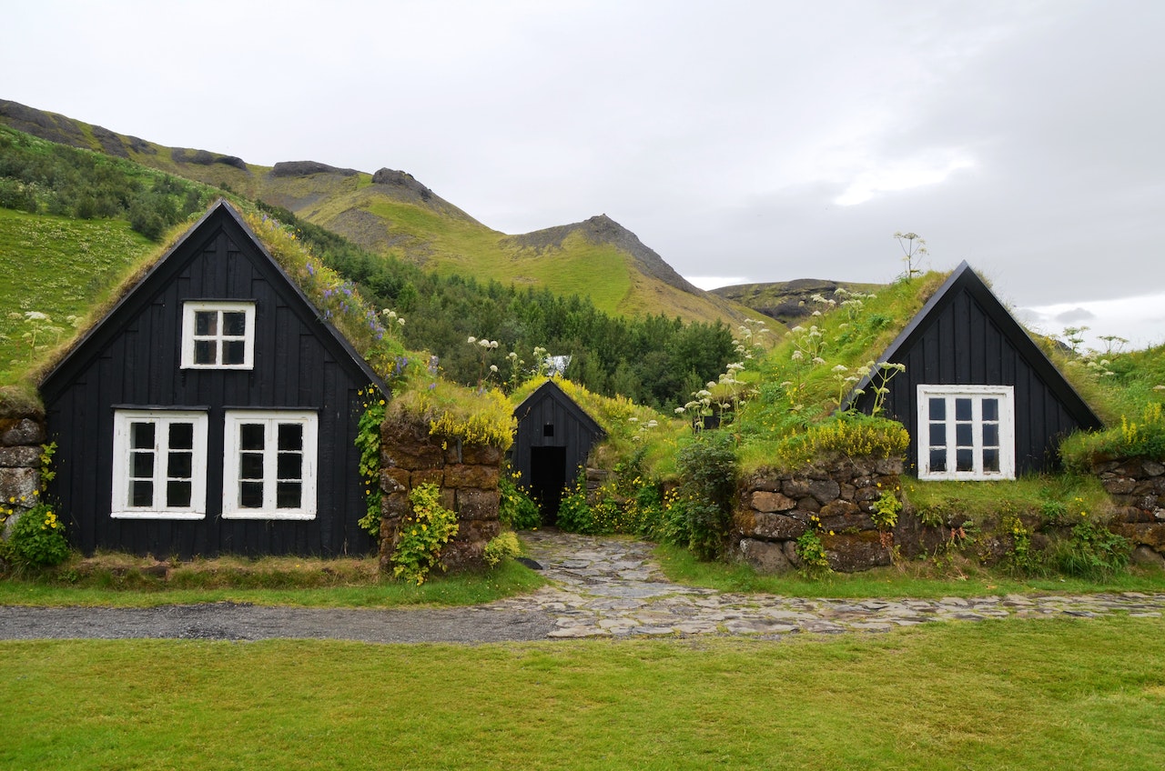 Pourquoi nous devrions tous végétaliser le toit de nos maisons ?