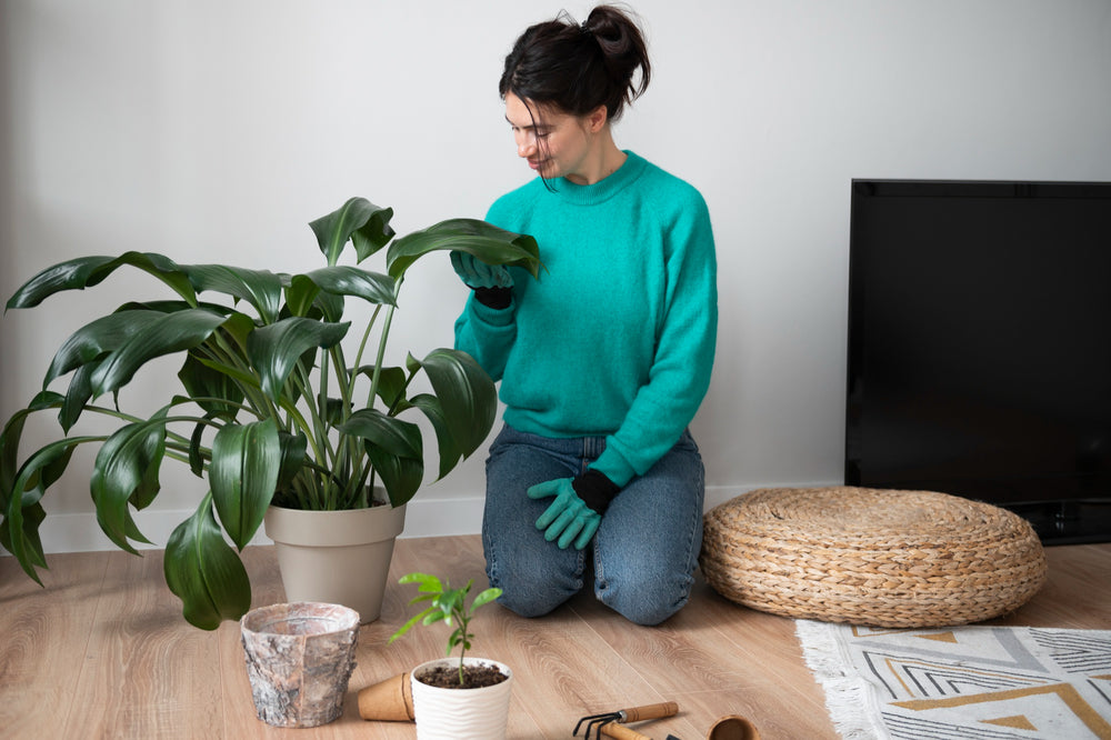 Élever des Plantes Rares: Guide pour les Passionnés de Botanique