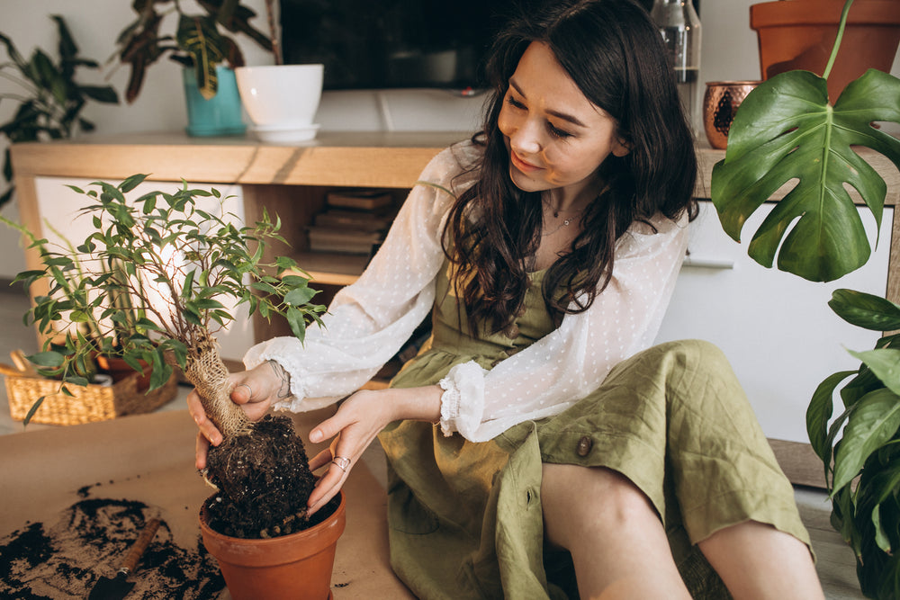 Les Fondamentaux pour les Passionnés de Plantes ♥️🌿