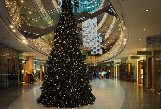 Trouvez le sapin de Noël parfait pour votre entreprise 🎄🌟