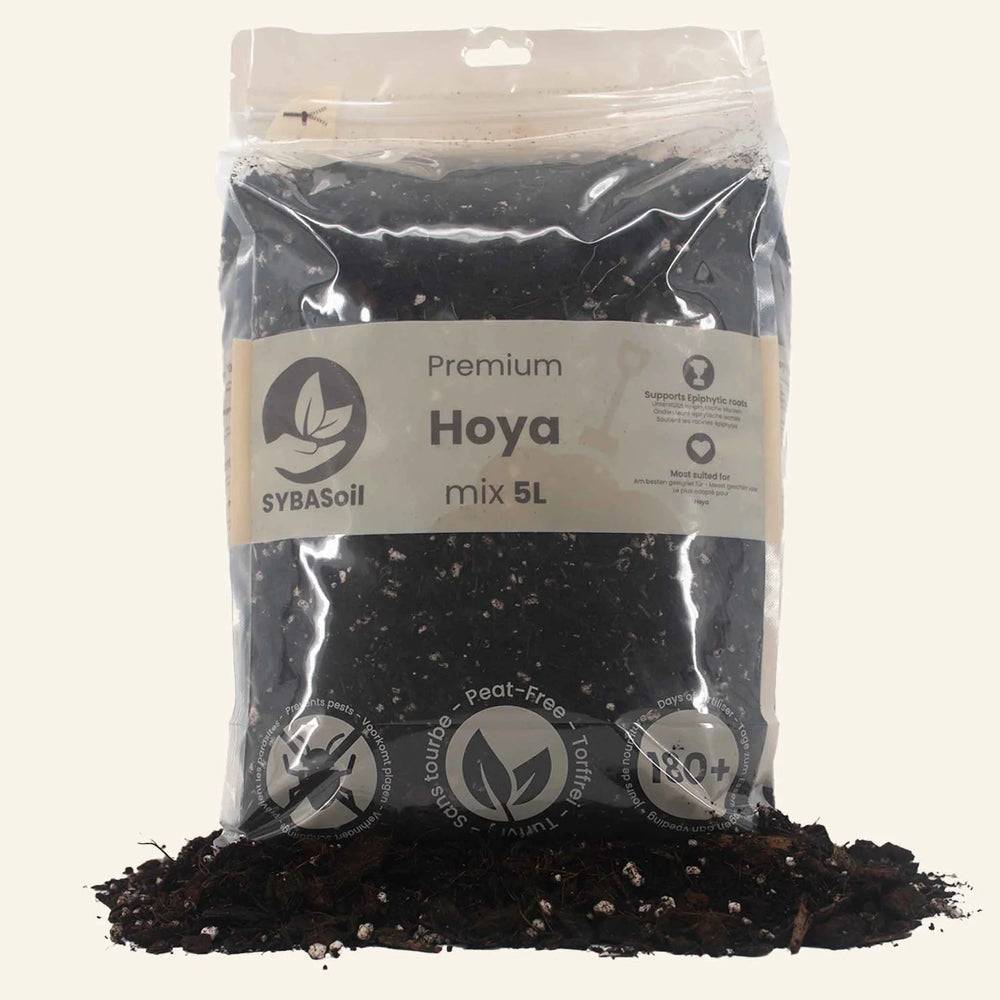 Substrat premium spécial Hoya