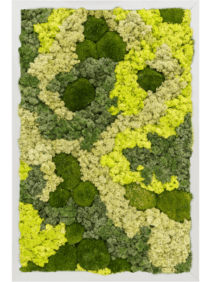Tableaux de Mousse Naturelle végétale Stabilisé mix boule lichen