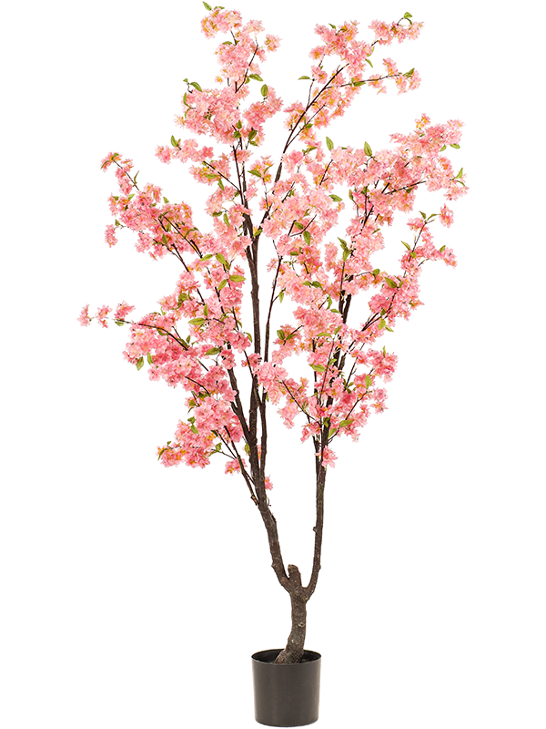 
                  
                    Cerisier du japon artifiel (blossom tree)
                  
                