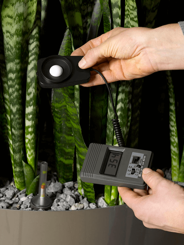 
                  
                    Luxmetre digital pour plantes
                  
                