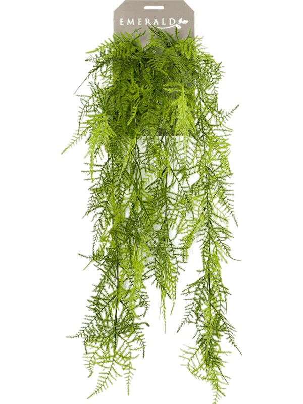 
                  
                    Asparagus plumosus artificiel
                  
                