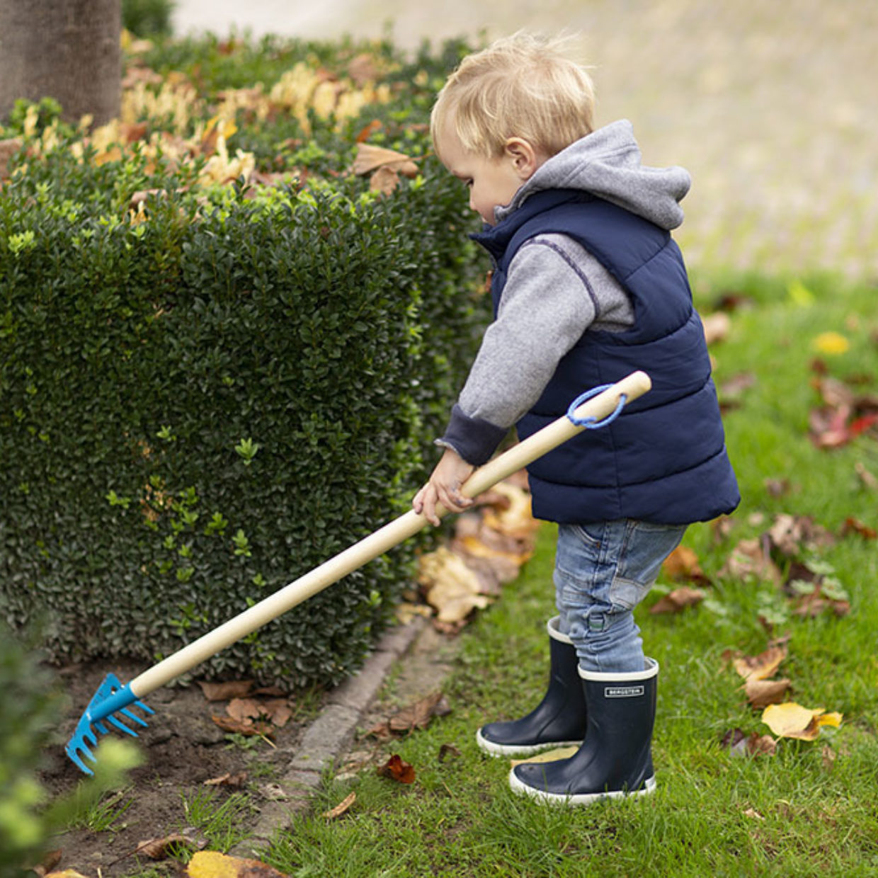 
                  
                    enfant en plein jardinage avec son rateau bleu en metal et en bois 
                  
                